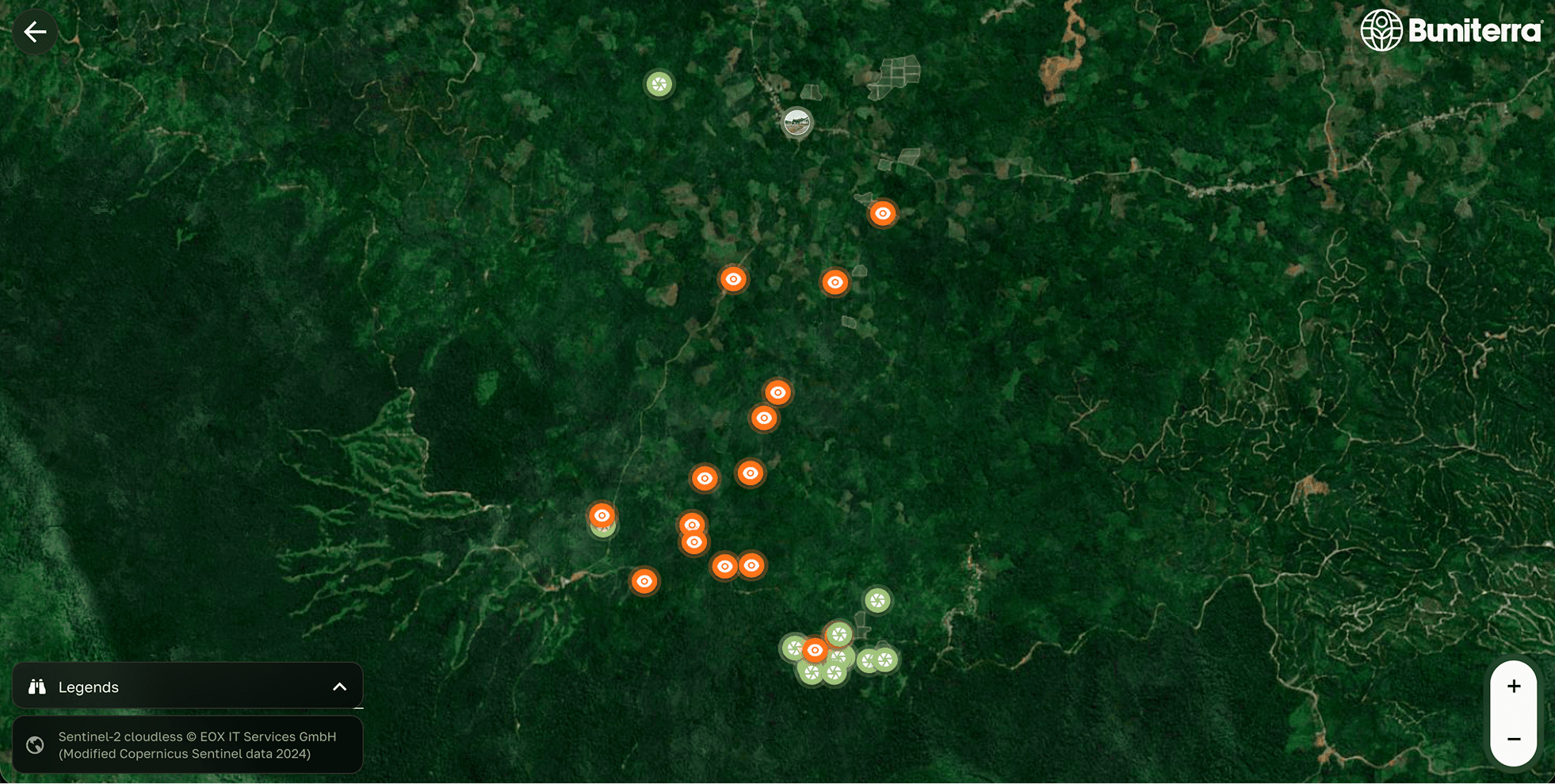 Bumiterra restoration map over a forest landscape